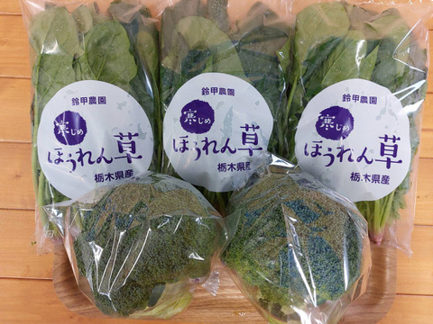 肉厚！寒じめほうれん草【２３０ｇ×３袋】とブロッコリー【２個】のセット