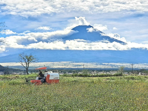 富士　忍野十割そば　乾麺200g ×2袋　計400g ★3〜4人前★農薬不使用•無添加　石臼挽き　★純国産★ 国内産原材料のみ使用・国内製造（長野県）無塩・グルテンフリー★ 発送　メール便★