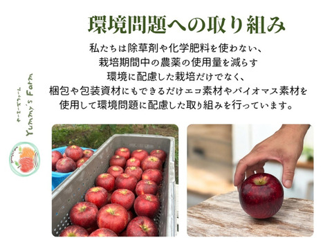 無添加！信州りんご発祥の地 長沼産 2025年産サンふじ 100% 生産農家直送 りんごジュース ６本 長野県 化学肥料不使用 除草剤不使用 人にやさしく環境にもやさしい農産物 720ml×6本