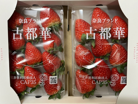 奈良県ブランド高級いちご(古都華)
280g✖️4パック