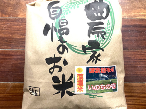 【母の日ギフト】令和７年9月に刈り取りました新米☆☆いのちの壱(超大粒)☆酵素散布米いのちの壱 玄米5キロ精米無量