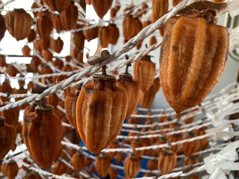 訳あり!まるせい果樹園のあんぽ柿（干し柿）200㌘×5パック af1