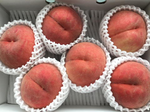 🍑【2026年8月下旬桃】1.5kg 5玉前後 収穫した日に発送 家庭用 農家