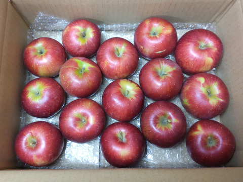 シナノスイート　家庭用　小玉　3キロ箱（3.2キロほど入ります）【JA基準より60％減の低農薬栽培】葉とらずりんご