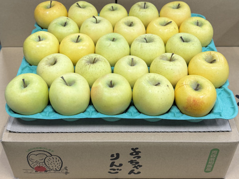 【小玉】シナノゴールド💛約4.5Kg🍏青森県産　数量限定