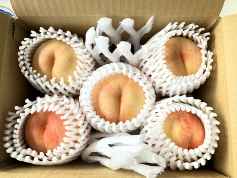 今年の桃はよくできました！おまかせ桃セット 約1㎏：岩手県産の蟠桃