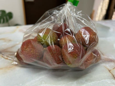 南国鹿児島産【生ライチ】【訳あり】最高峰品種玉荷包（約400g