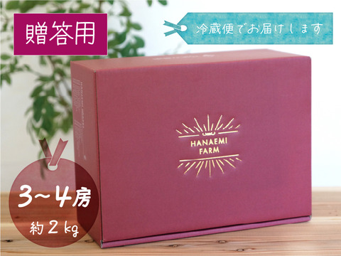 花笑み農園　岡山のシャインマスカット約２kg（３～４房）贈答用【9/23～順次発送】S-2上
