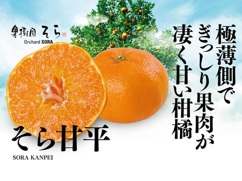 そら甘平【天空の甘平】愛媛産みかん 3kg