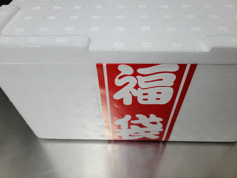 【福袋】お魚加工ノ-マル、ヨコ(クロマグロ子供)お刺身用セット