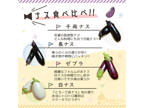 《ベジフェス》夏野菜達のお祭りin淡路島 -60サイズ-