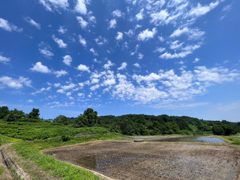 貴重な棚田産玄米を米粉に！🌾新潟の天陽・天水・谷風が注ぐ棚田「とちおてらす」の玄米米粉【200g×2袋】🍞(品種コシヒカリ)🍚農薬肥料不使用