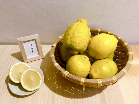果汁たっぷり！種が少ない！今が旬のレモン『璃の香』2kg