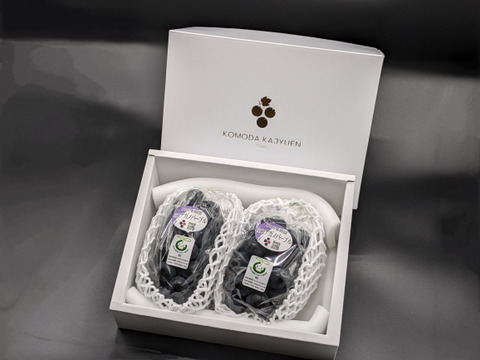 【プレミアム贈答】ナガノパープル2房（合計約900g）長野県認証/特別栽培同基準（信州の環境にやさしい農産物認証50）