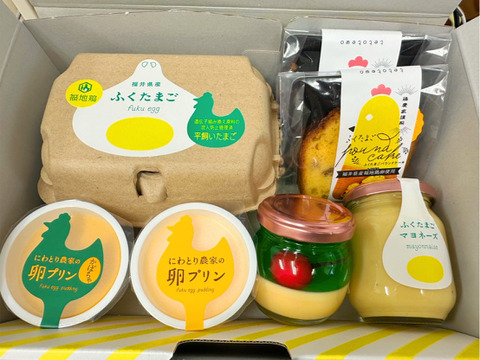 【幻の福地鶏】北陸新幹線開業1周年記念tetotewoほぼ全部セット