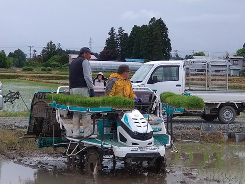 定期限定商品 令和５年産待望の新米っっ！！特栽米つや姫(10kg)