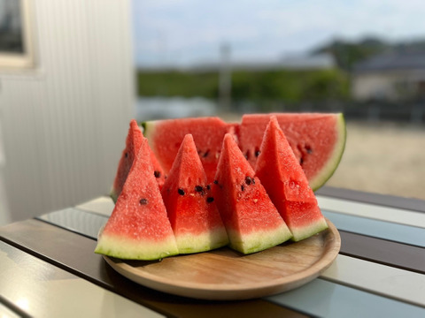くまもと植木産🍉春スイカ(肥後漫遊)4月10日〜発送 | 1玉入り6〜8kg ギフト贈答用