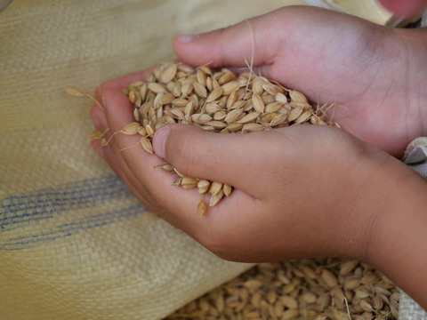 新米！奈良県山添村の『コシヒカリ』（玄米）1kg