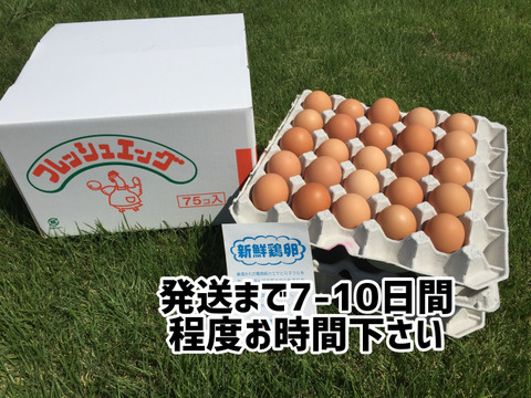 【納豆菌の仲間、『枯草菌』で育てた鶏の卵】陶芸の里、益子でうまれた赤たまご 75個