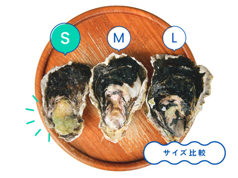 【生食】小ぶりで美味！ミネラルたっぷり岩牡蠣(S6個入)島根県産