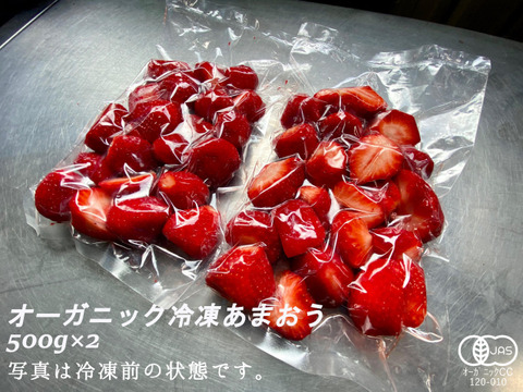 完熟!オーガニック冷凍あまおう 1kg(500g×2)