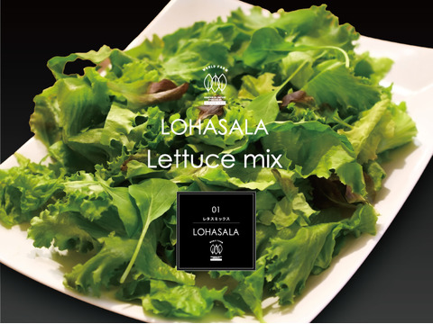大容量 安心!菌数管理栽培野菜 LOHASALA レタスミックスセット (小分け100g×20個セット) 洗わずに食べられる魅力満載のサスティナブル新野菜【おすすめの食べ方付き】