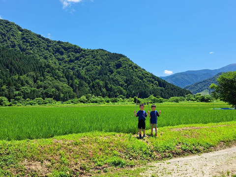 【令和7年産】"とっておき"の魚沼米！松井ファームの南魚沼産コシヒカリ5kg(精米)