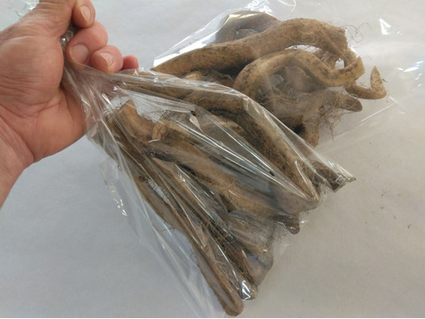 2kg⭐️訳あり⭐️自然薯⭐️《超特価！》