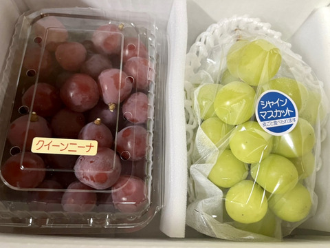 シャイン一房とクイーンニーナの切り落とし