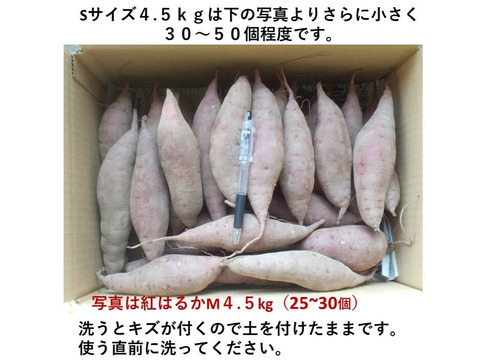 さつまいも（紅はるか）長期間地下室熟成で甘い 大分県産　Sサイズ４．５ｋｇ　焼芋ラテの素オマケ付き