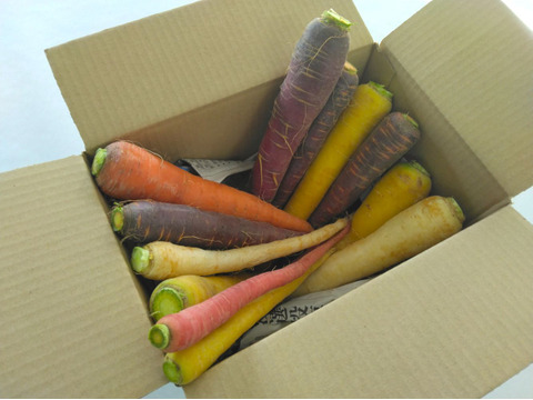3kg🥕元気な彩り！食卓が盛り上がる！カラフルにんじん《農薬・化学肥料不使用》