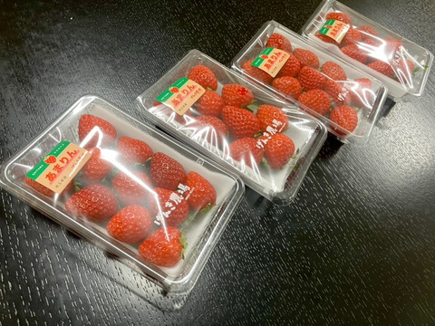 【いちごグランプリ2026　総合部門　銅賞】埼玉県オリジナル品種「あまりん」小粒4パック