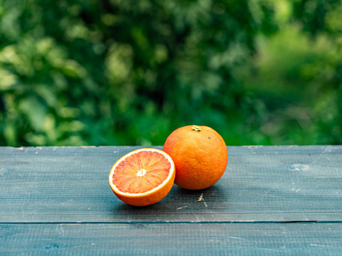 キズありでも濃厚な甘み【タロッコ】Bセレクション9kg