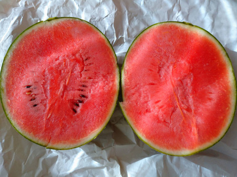 皮のふちまでシャリシャリ甘い！にしまるスイカ(小玉西瓜)　１玉入り(約２kg以上)