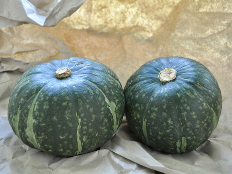 ホクホクとねっとりのいいとこどり！カボチャ「グラッセ」3個3.3Kg 節減対象農薬：栽培期間中不使用