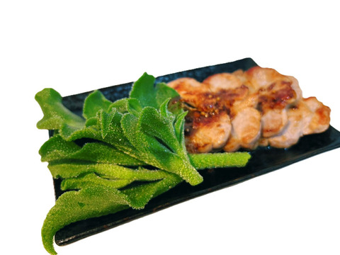 【投稿CP商品】（70g×12パック）【プチっと食感／ほんのり塩味】アイスプラント