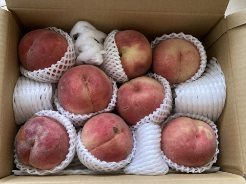 【数量限定】川中島白桃　家庭用3kg
