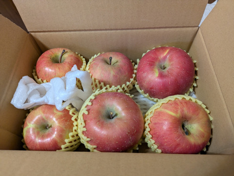 【りんご農家におまかせ！】おまかせ食べ比べ2種 訳あり 約1.5kg(4-9玉) 長野県 信州 りんご リンゴ #NAX0C015