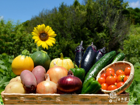 《ベジフェス》夏野菜達のお祭りin淡路島 -80サイズ-