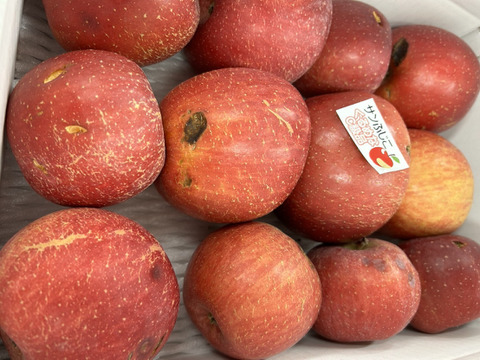 まるせい果樹園のサンふじ　訳ありの訳あり　加工用　自家用　家庭用　6キロ rfｗ