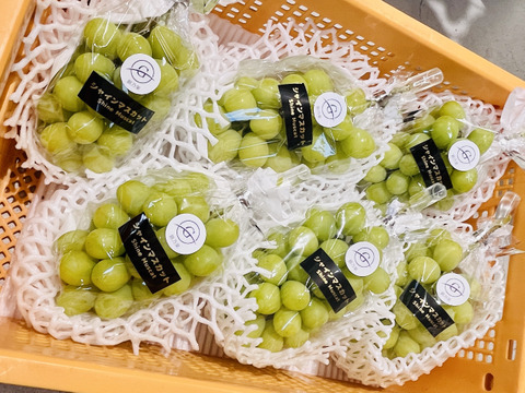 長野県産 シャインマスカット_秀品1房(約400g)