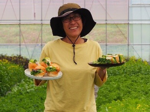 信州から産地直送【旬彩野菜】サラダリーフミックス140g×3p　長野県安曇野産・無施肥栽培・おまかせ