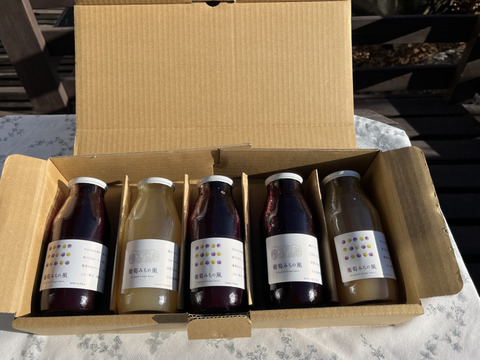 【冬ギフト】ワイン用ぶどうで作ったジュース　4品種各1本+おまかせ品種1本　飲み比べセット180ml✖️5本【熨斗対応可】