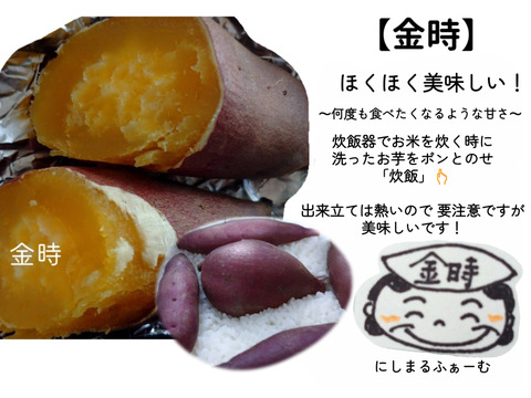 【訳あり】貯蔵期間2ヵ月ホクホク甘い！砂丘のさつまいも(5kg)