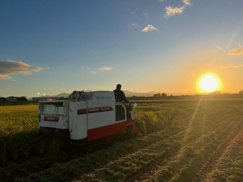宮城県産ひとめぼれ３０キロ 楽天市場】宮城県産 ひとめぼれ 30kgの通販