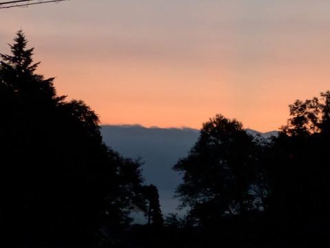 しゃきしゃきの「信州産長芋」(ご家庭用・5㌔入)