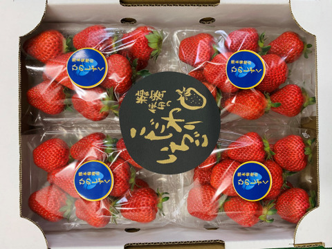高級希少品種 糖蜜たっぷり使用 ひのしずく 4パック R 熊本県産 食べチョク 農家 漁師の産直ネット通販 旬の食材を生産者直送