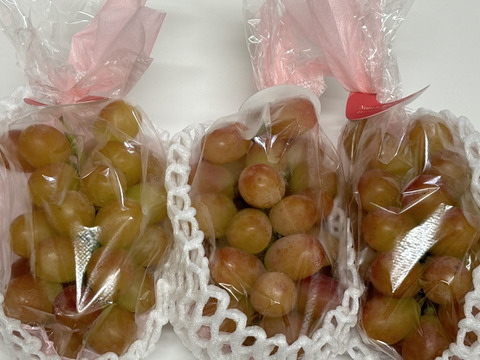 【DayDay出演で話題沸騰】幻の牧丘天空ヌーベルローズ🍇日本でほとんど出回らない高級激レア品種🍇赤いシャインの異名を持つワインのような芳醇な味わい約1kg2～3房朝どれ【2026年10月上旬予約】