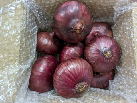 甘くて生食におすすめ！赤玉ねぎケルたまルビー2kg(5〜10個入）