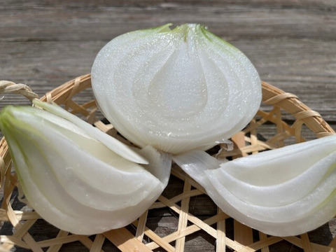 甘くみずみずしい　❣❣　　　　
　九十九里産　新玉ねぎ　2Kg